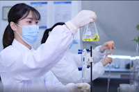 巾幗不讓須眉，她們獲省級(jí)巾幗文明崗榮譽(yù)